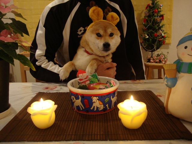 イブの夜にはケーキ!!_a0126590_6294246.jpg