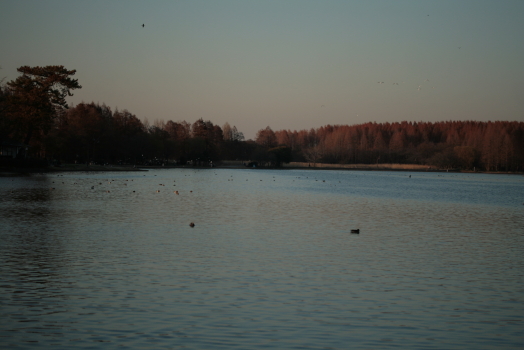 d0133693_23285047.jpg