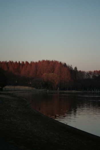 d0133693_2329151.jpg