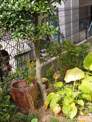 a0123003_17505448.jpg