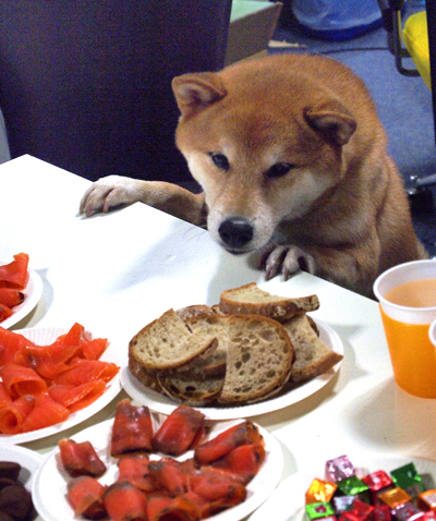 Day7 最終日 クリスマス&忘年会。12月25日(金)2014_b0069507_9534294.jpg