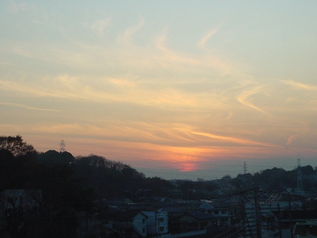 b0026408_1182050.jpg