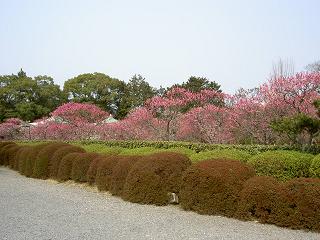 c0133323_253753.jpg