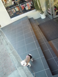 e0168447_2130230.jpg