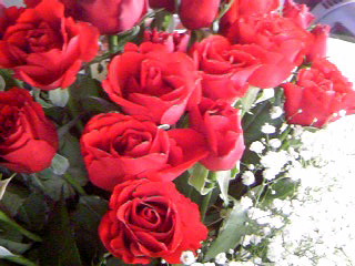 a0152665_21591553.jpg