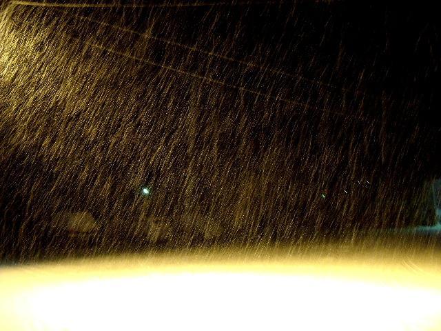 b0067569_0484030.jpg
