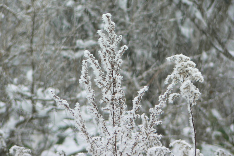 b0068572_23271518.jpg