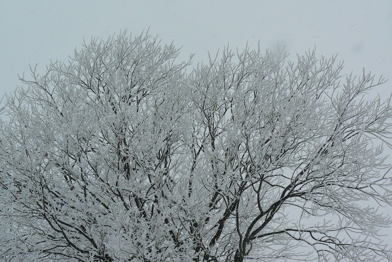 b0068572_2328244.jpg