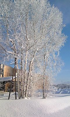 樹氷がキラキラ☆☆☆_b0056476_1226738.jpg