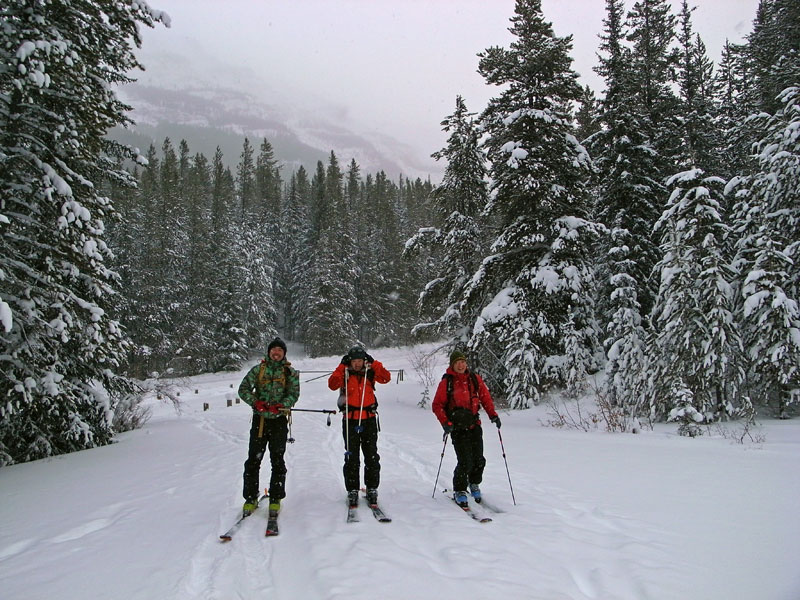 b0110880_5502165.jpg