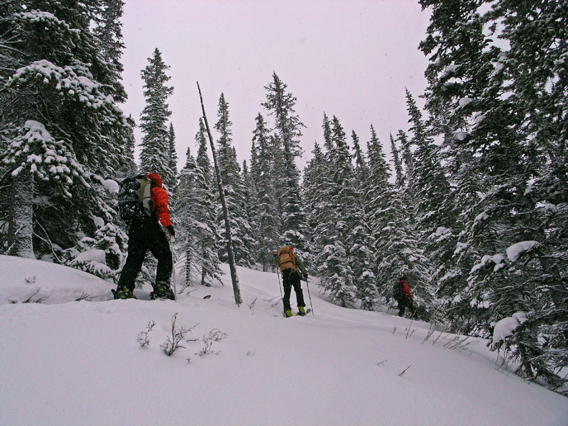 b0110880_5505194.jpg