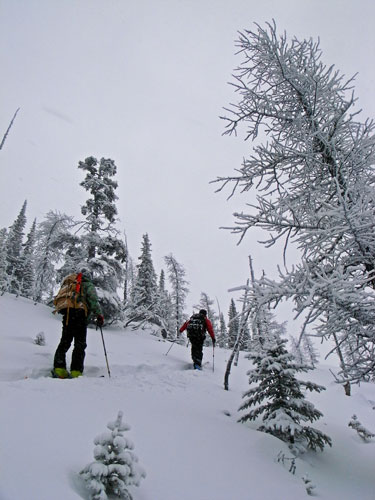 Popes Peak_b0110880_6463186.jpg