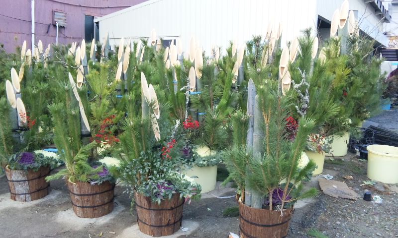 c0224082_1328197.jpg