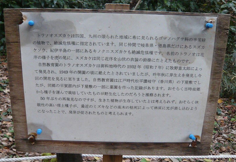 白金の森（自然教育園）_e0066586_715548.jpg