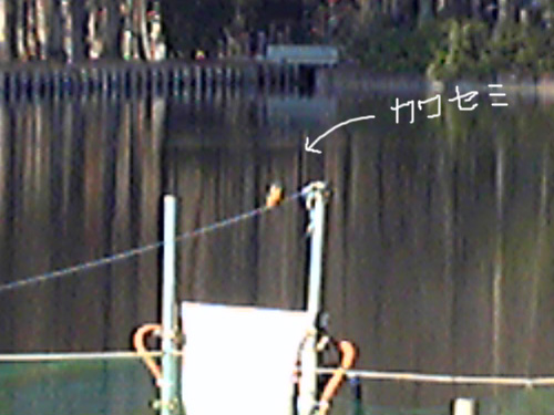 d0016587_11592970.jpg