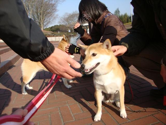 りんごちゃん、初めまして!_a0126590_1245029.jpg