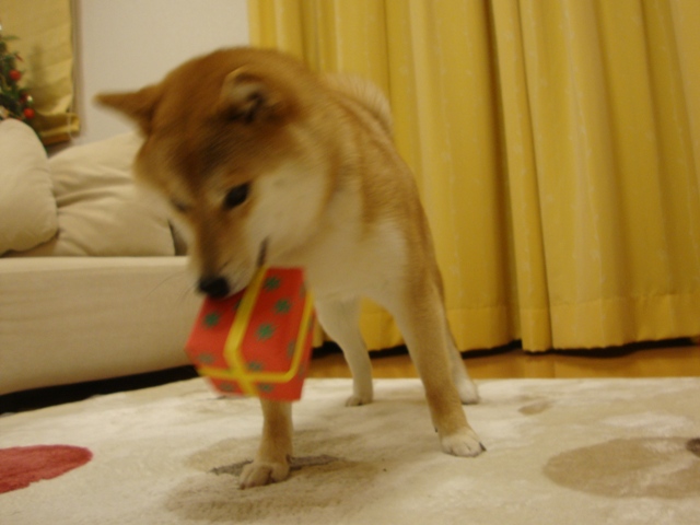 人の分まで食べるのは・・・_a0126590_241032.jpg
