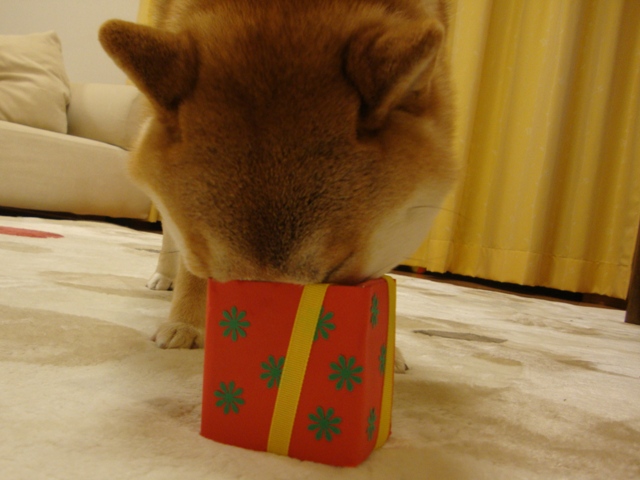 人の分まで食べるのは・・・_a0126590_24458.jpg
