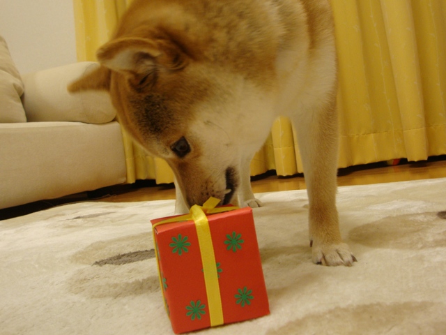 人の分まで食べるのは・・・_a0126590_24469.jpg