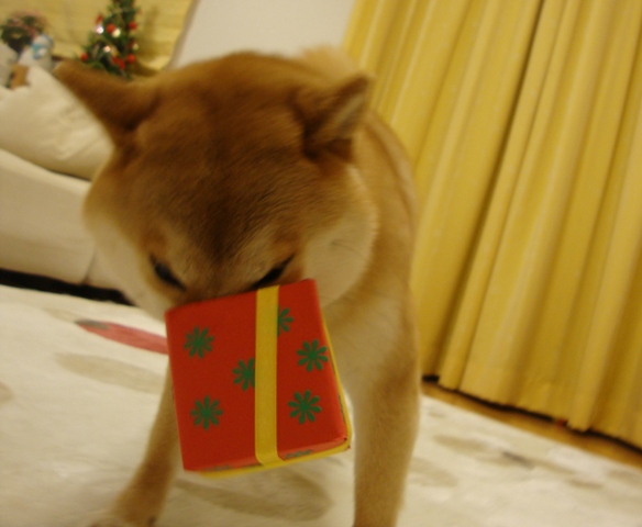 人の分まで食べるのは・・・_a0126590_245373.jpg