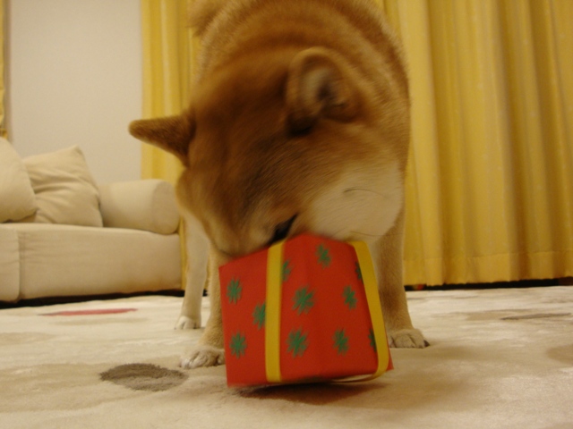 人の分まで食べるのは・・・_a0126590_25012.jpg
