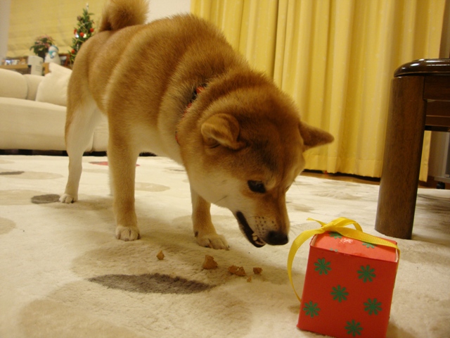 人の分まで食べるのは・・・_a0126590_251870.jpg