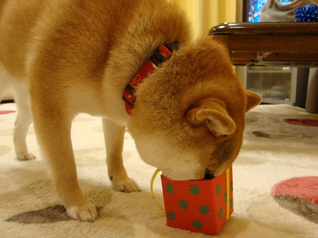 人の分まで食べるのは・・・_a0126590_253834.jpg
