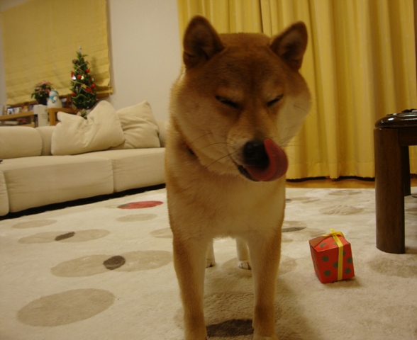 人の分まで食べるのは・・・_a0126590_254925.jpg