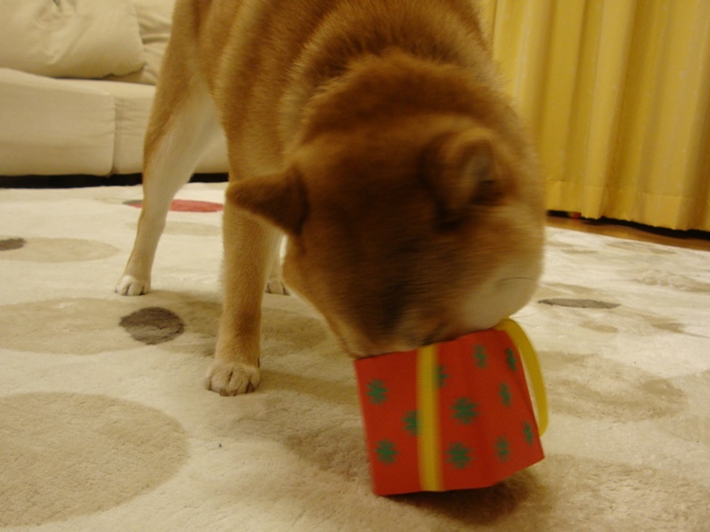 人の分まで食べるのは・・・_a0126590_25745.jpg