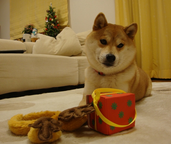 人の分まで食べるのは・・・_a0126590_261868.jpg
