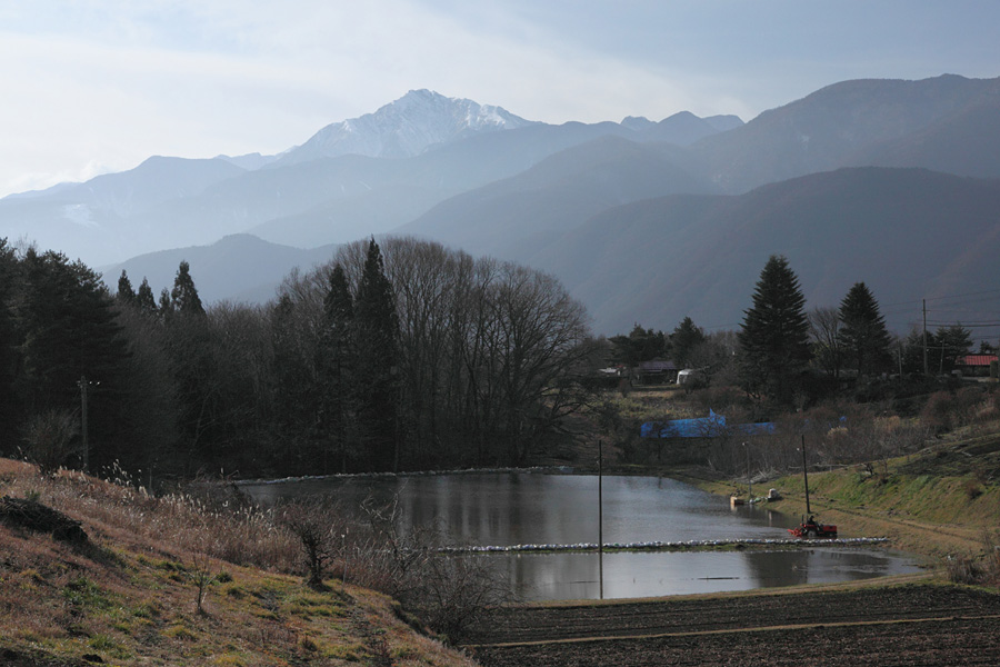 09.12.13：背景は冠雪の南アルプス３－完_c0007190_20302774.jpg