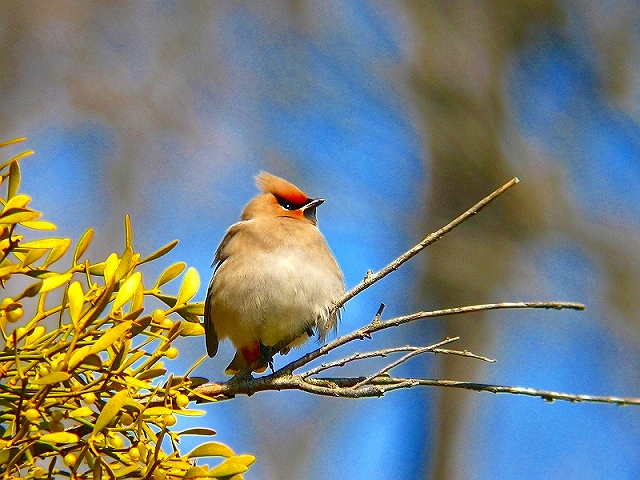c0213690_3221693.jpg