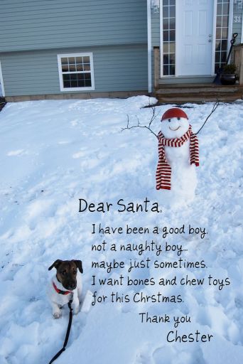 Dear Santa_c0201591_12562019.jpg