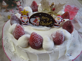 クリスマスケーキ　2009_f0131192_6433942.jpg