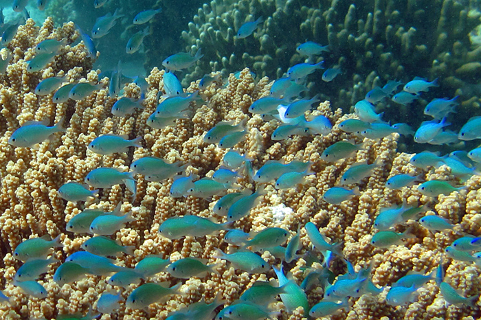 c0025895_164649.jpg