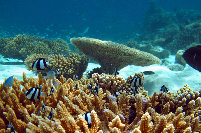 c0025895_184111.jpg