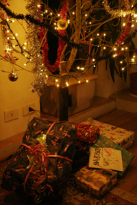 f0106597_24459.jpg