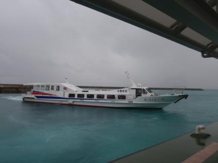 昨日の鳩間島　12/25（金）　雨_b0165698_18184852.jpg