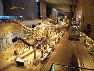 e0063902_2210331.jpg