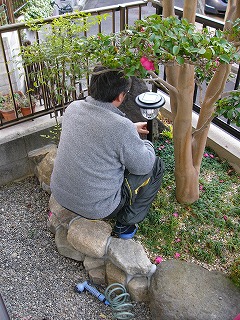 a0123003_1946131.jpg