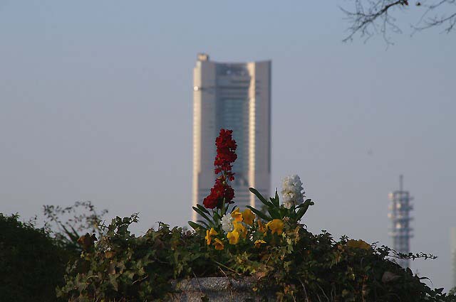e0039703_03817.jpg