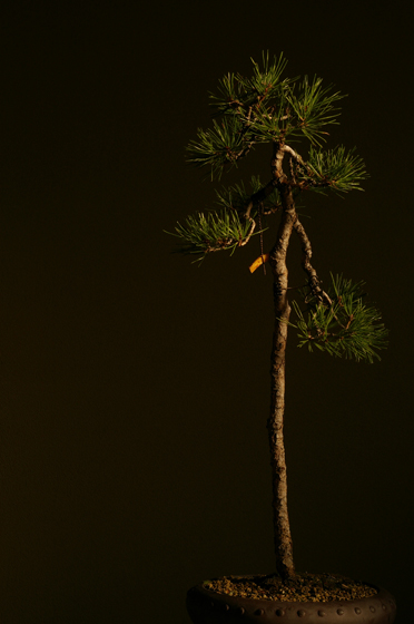 e0121605_17504896.jpg