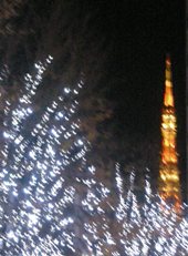 Papier d\'armenie パピエ ダルメニィ (フランスのお香)_c0097611_1233717.jpg