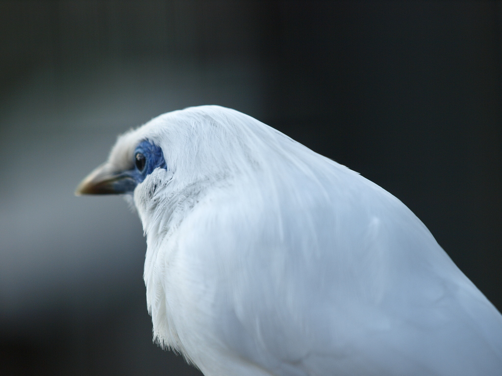 動物園のようだね、ズーラシア！瞳の巻_b0137723_2357179.jpg