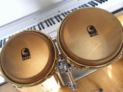 Sheila E. Signature Series Bongos_e0166525_14385591.jpg