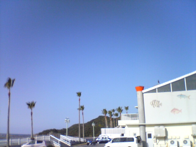 b0134233_1556525.jpg