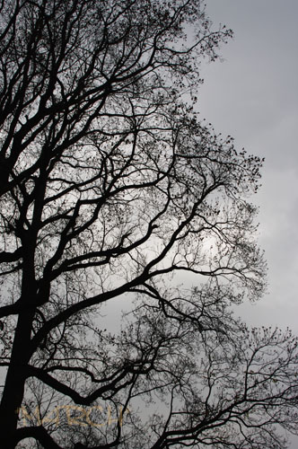 e0146037_23344213.jpg