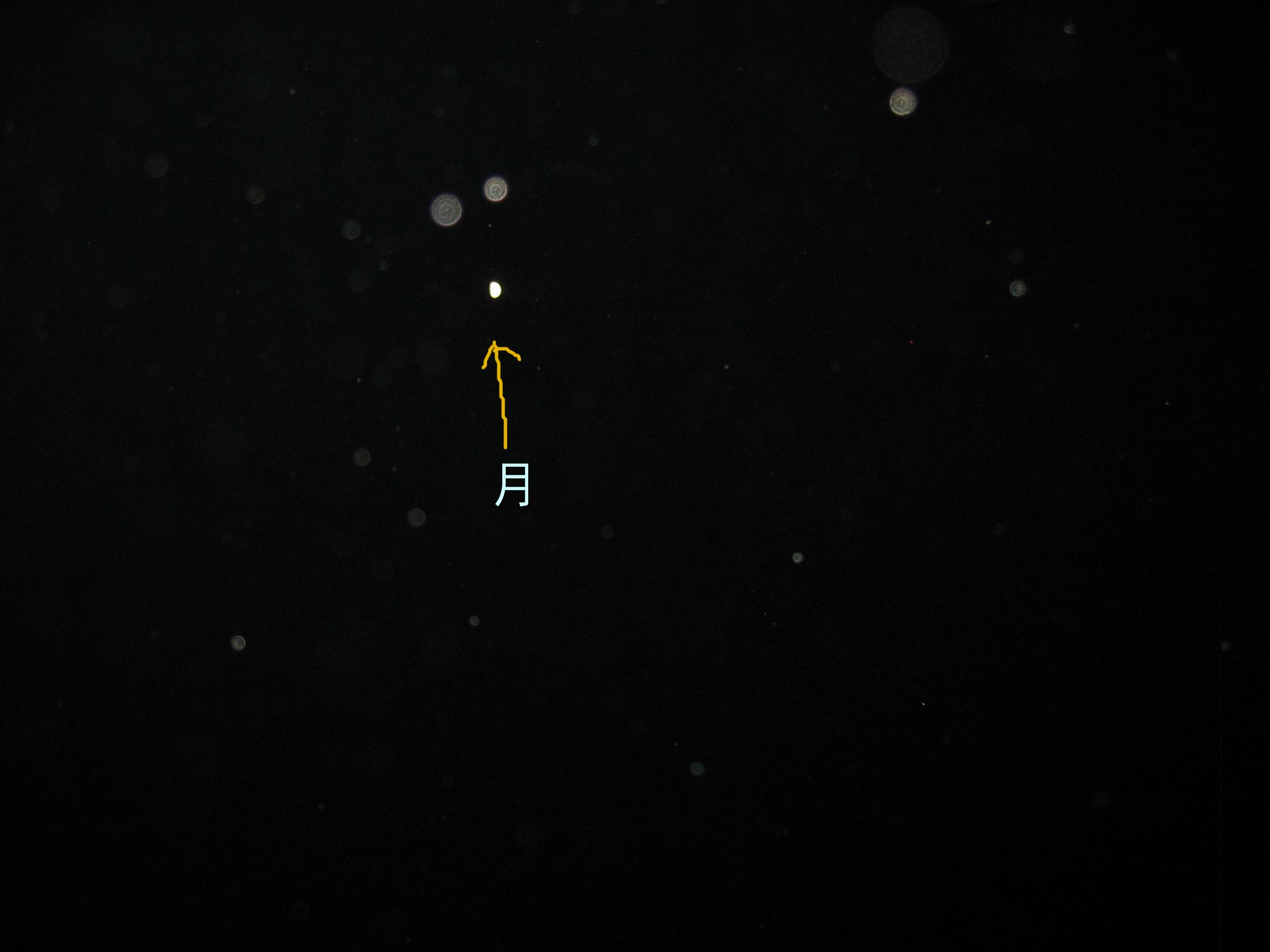 d0075649_844175.jpg