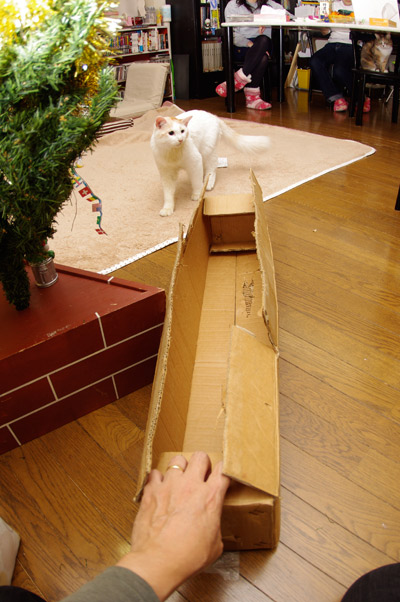 クリスマスのお約束_a0028451_381681.jpg