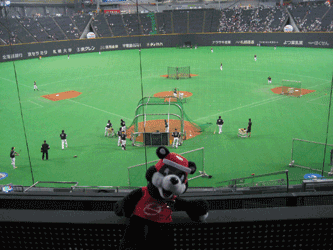 b0159557_2244327.gif